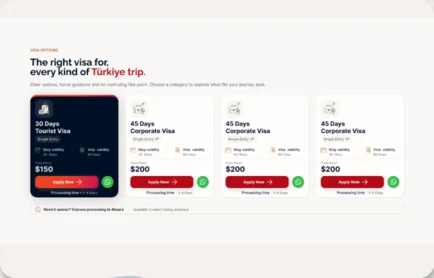 The visa options grid, with validity, entries and total price shown on each card